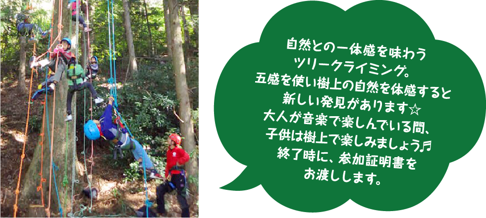 ツリークライミング