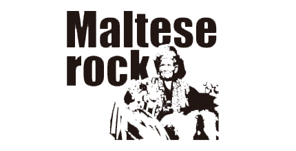 出演アーティスト情報【マルチーズロック】